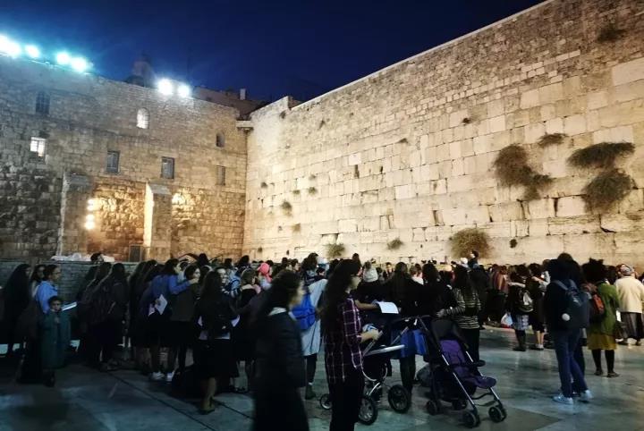 1510906517945107.jpg 1510906517945107.jpg