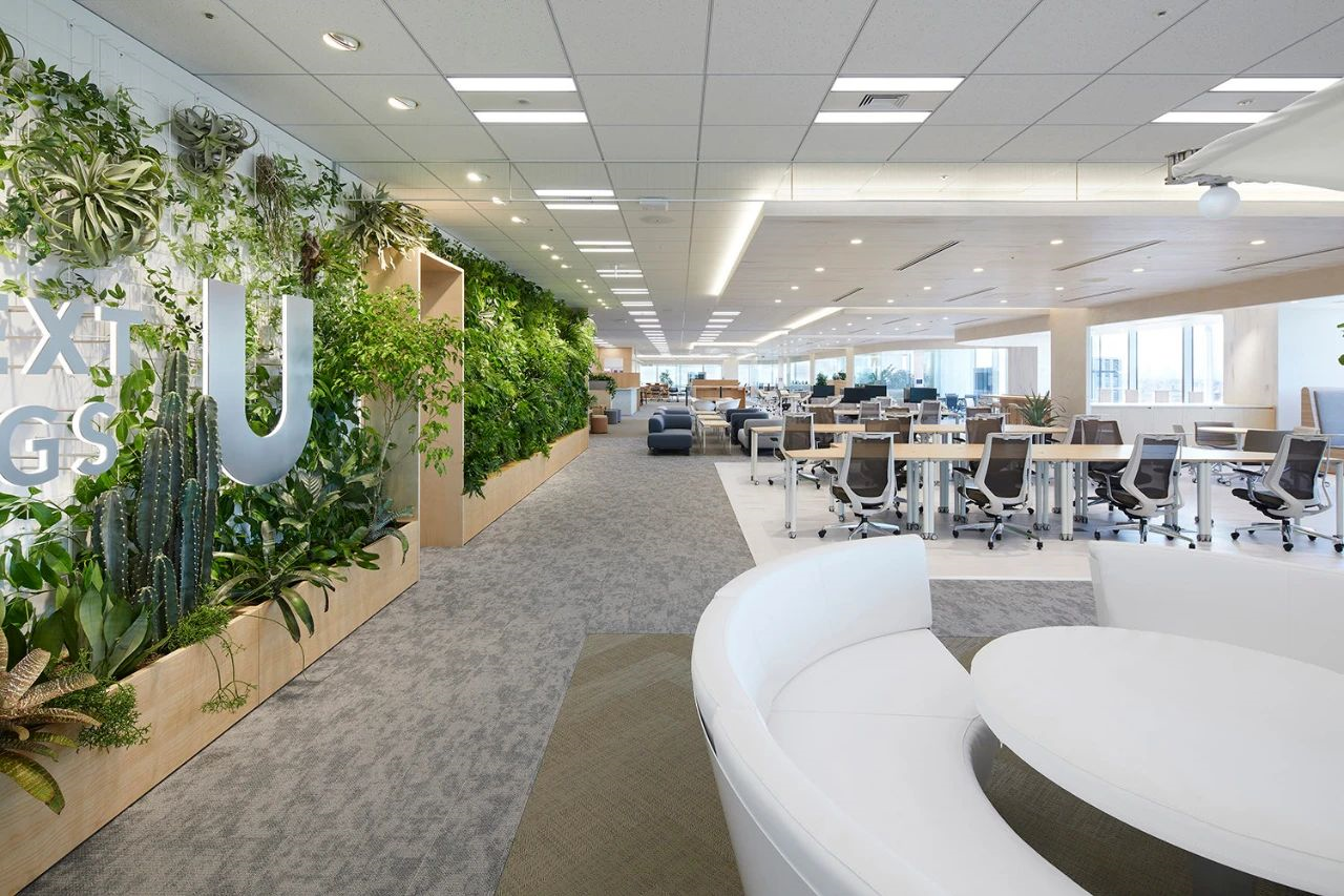 1601342499432432.png image.png